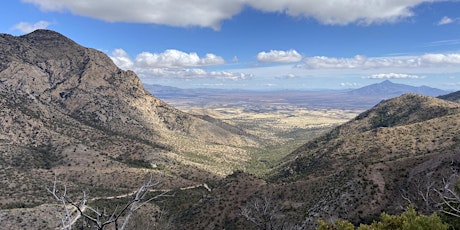 Border BioBlitz at Huachuca Mountains