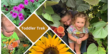 Toddler Trek - summer celebration primary image