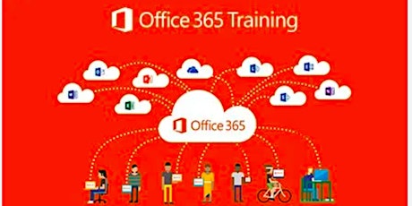 Microsoft 365 Training with IT Wiser