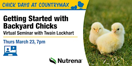 Getting Started with Backyard Chicks