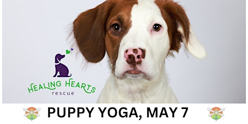 Puppy Yoga with Healing Hearts Rescue @ The Wilderness Fitness & Coworking