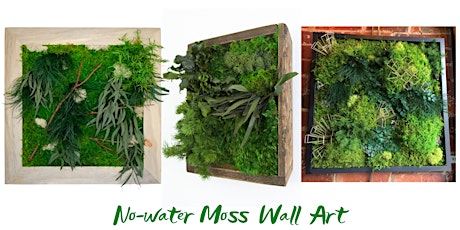 No-water  Moss  Wall Art Workshop - 20" x 20" frame
