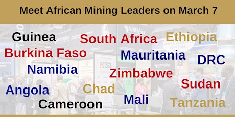 Primaire afbeelding van 21st Investing in African Mining Seminar