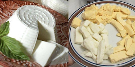 CHEESE MAKING 101 - Learn 2 cheeses in 2 hrs - Quick Cheese Curds & Italian primary image