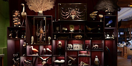 法國五月 -「「藏珍閣」- 由自然科學到大自然藝術」我的珍奇櫃兒童工作坊 Le French May - "Cabinets of Curiosities – From the Natural Sciences to the Art of Nature"  Children Workshop primary image