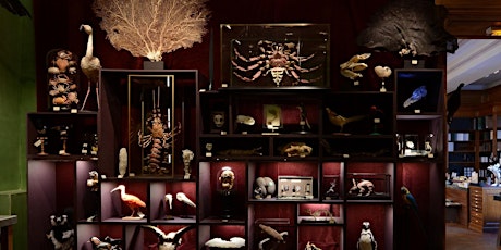 法國五月 -「「藏珍閣」- 由自然科學到大自然藝術」歐洲人眼中的“文房四寶” Le French May - "Cabinets of Curiosities – From the Natural Sciences to the Art of Nature" The Four Treasures in Europeans’ Eyes primary image
