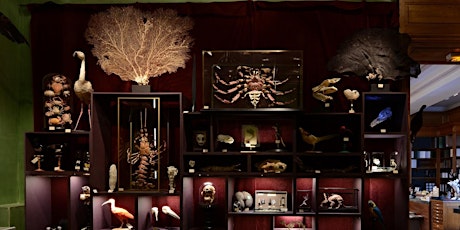 法國五月 -「「藏珍閣」- 由自然科學到大自然藝術」珍奇櫃的源由 Le French May - "Cabinets of Curiosities – From the Natural Sciences to the Art of Nature" What Were the Cabinets of Curiosities? primary image