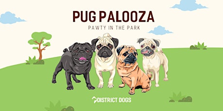District Dogs Pug Palooza