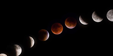 Lunar Eclipse Night primary image
