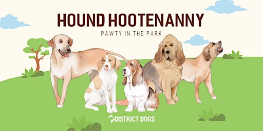 Hound Hootenanny Dog Meetup