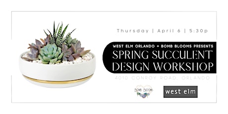 Design Your Own Succulent Garden at West Elm Orlando with Bomb Blooms