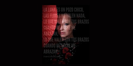 "Un Pozo Chico" a Night of Flamenco Dance and Music