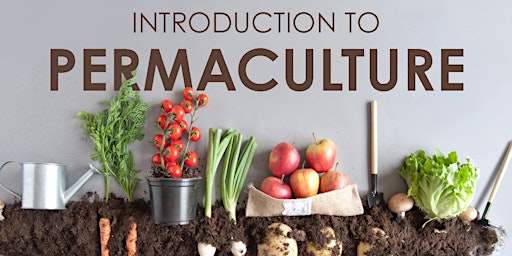 Introduction to Permaculture (Summer)