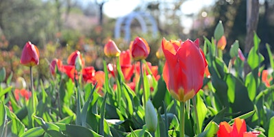 Hauptbild für Seasonal Highlights Tour