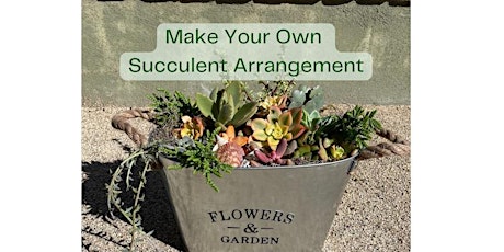 Make Your Own Succulent Arrangement