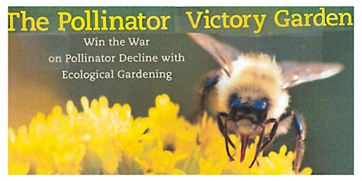 Win the War on Pollinator Decline with Ecological Gardening