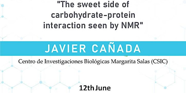 The sweet side of carbohydrate-protein interaction seen by NMR