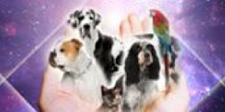 Reiki 1 - Basic Skills and Working with Animals - Attunement and Certification primary image