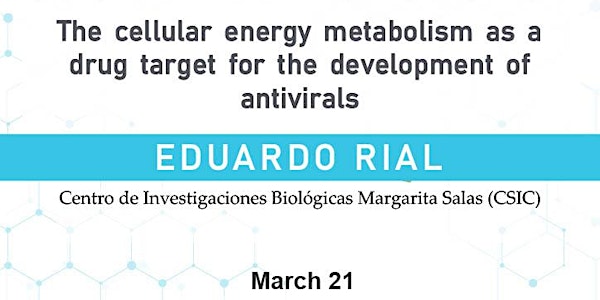 Cellular energy metabolism as drug target for the development of antivirals