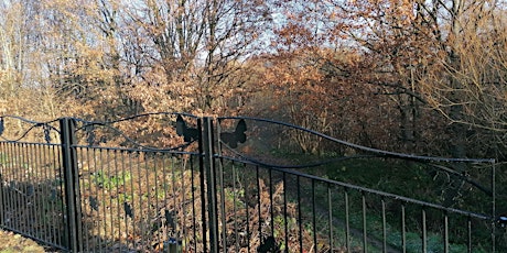 Carbrook Ravine Volunteer Work Morning