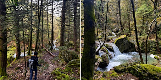 Πεζοπορία στο Μαίναλο Trail: Ελάτη - Βυτίνα & Μυλάοντας Ποταμός  primärbild