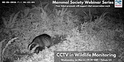 Imagen principal de CCTV in Wildlife Monitoring - TMS Webinar - Recording