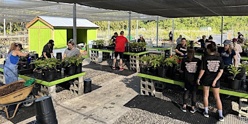 Image principale de Tree Nursery Volunteer Day | General Public (4/3/24)