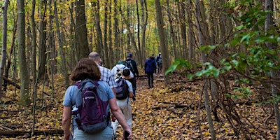 Imagem principal do evento Walk in the Woods: Frederick Municipal Forest