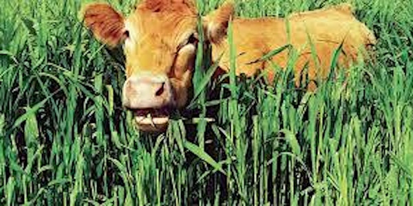 Farm Planning and Grazing School with Sarah Flack