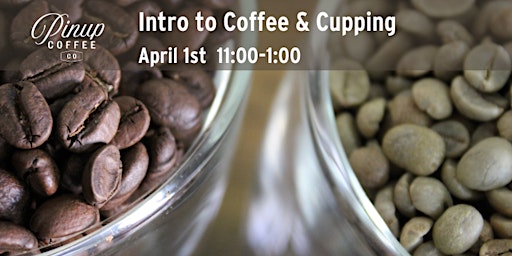 Intro to Coffee & Cupping