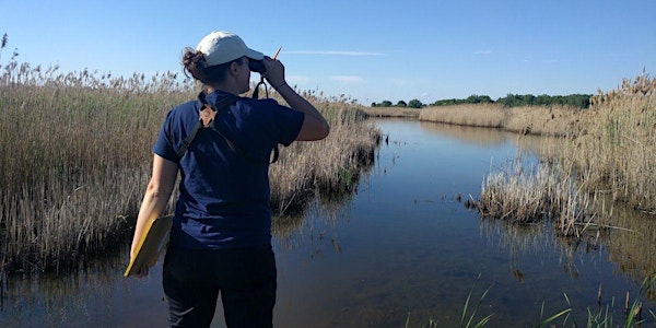 Great Lakes Marsh Monitoring Program – Windsor/Essex Volunteer Orientation