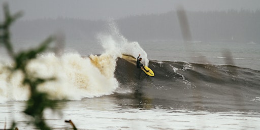 After the Groundswell - Tofino primary image