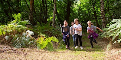 Wild Explorers Holiday Club at Nower Wood - Summer 2024 primary image