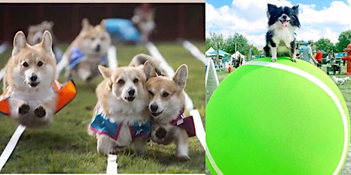 Desert Ridge Marketplace & Dog Fun Festival hosts FREE dog event!