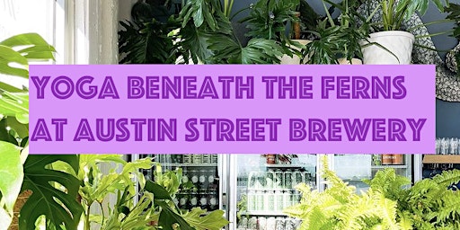 Yoga Beneath the Ferns at Austin Street Brewery