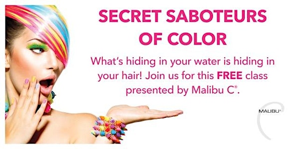 FS Secret Saboteurs of Color - Orlando AM