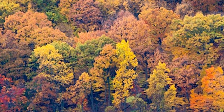 Beautiful Valley: A Zen Retreat in Upstate NY Oct. 11-14 primary image