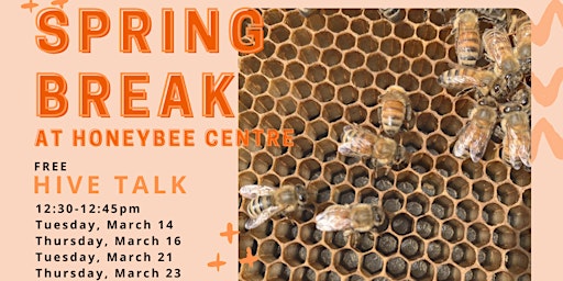 Free Hive Talk