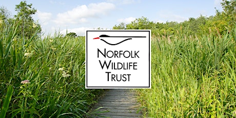 Norfolk Commons Week -  Managing commons and greens for wildlife
