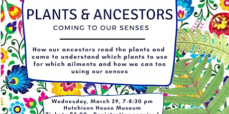Plants and Ancestors: Coming to Our Senses