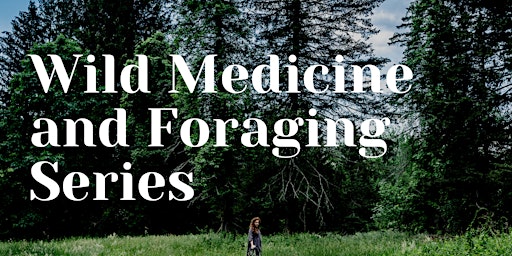 Series Two: Wild Medicine and Foraging