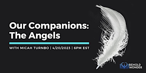 Our Companions:  The Angels
