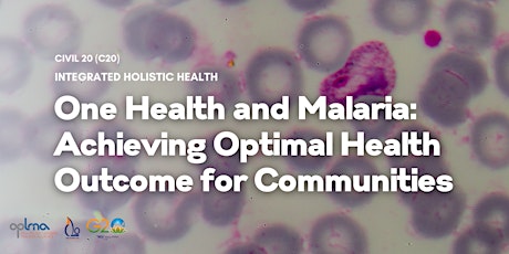 One Health and Malaria: Achieving Optimal Health Outcome for Communities primary image