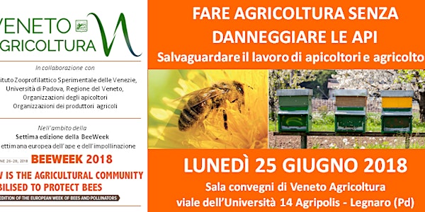 FARE AGRICOLTURA SENZA DANNEGGIARE LE API