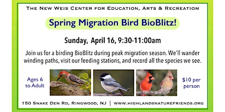 Spring Migration Bird BioBlitz