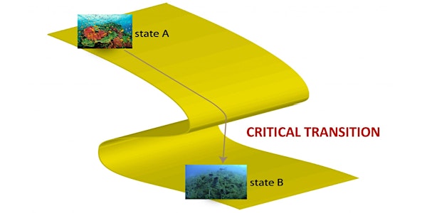 Critical transitions, stability and resilience in nature, technology and so...