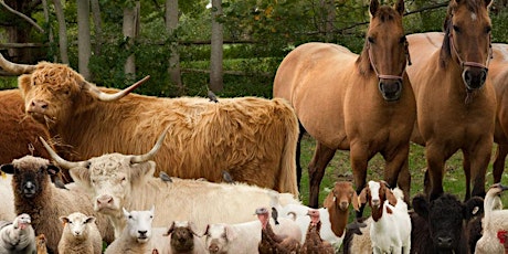 Cannon Hall Farm Day primary image