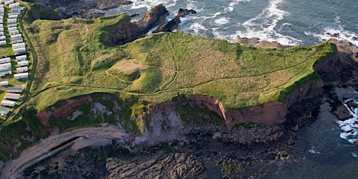 The volcanic rocks and Old Red Sandstones of Eyemouth primary image