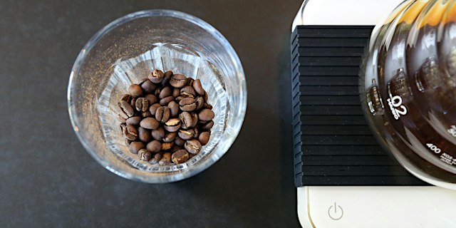 Imagen principal de Brewing Science - Counter Culture NYC