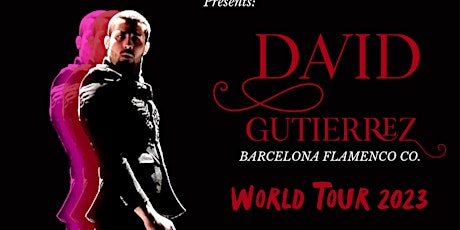 International Flamenco Dancer : David Gutierrez